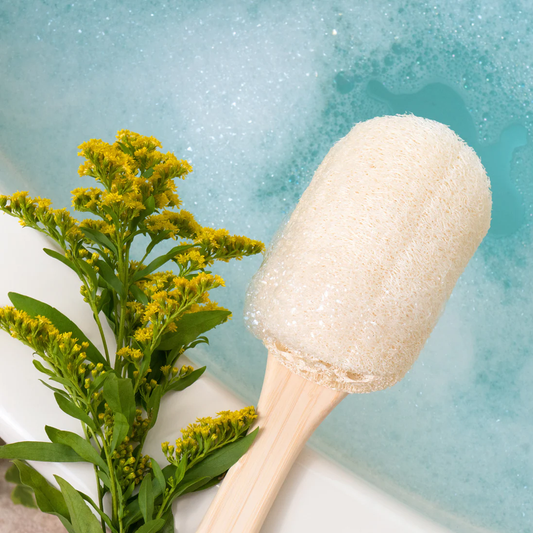 EcoTools Loofah Bath Brush